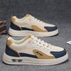 Men's shoes spring 2025 new breathable sports versatile casual board shoes fashionable men's one-pedal double color board shoes