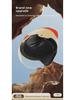Universal Electric Vehicle Helmets for Men and Women - All-Season Safety for B-Type Battery Vehicles