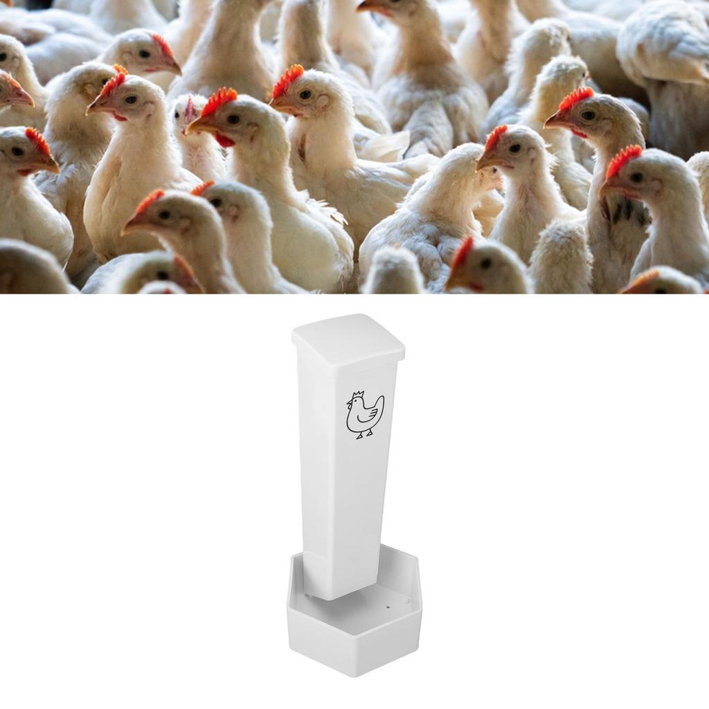 Chicken Oyster   Feeder with Top Lid Automatic Gravity Hanging Chicken Grit Feeder