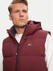 Зимняя куртка Tommy Hilfiger Essential Down Vest (DM0DM20465) глубокий румяный