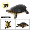 Oenux Ocean Animals  Leatherback Tortoise Turtle Growth Cycle Sea Life Model Figurines Action Figures PVC Education Kid Toy Gift