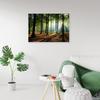 Canvas Print Forest Landscape Nature