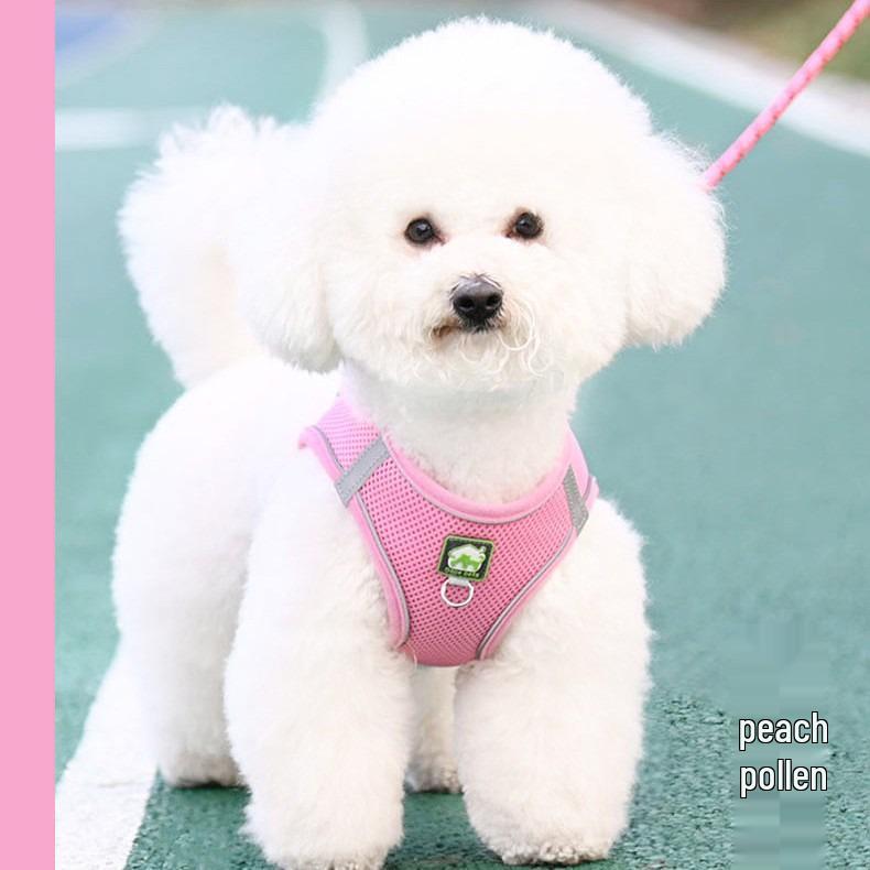 Breathable Reflective Pet Harness Vest with Leash for Cats & Dogs