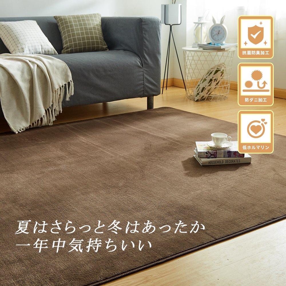 VK Living Carpet 200x300cm tatami Odor Compatible with Underfloor Heating and Hot Easy to Stylish Nordic Flannel Brown Rug, (approximately 4.5 mats),