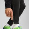 Puma INDIVIDUALLIGA TRAINING men's sweatpants black 65951702 r S