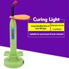 Handheld Oral Photosensitive Curing Lamp Dental Veneer Blue Light Baking Lamp Wireless Dental Light Curing Machine