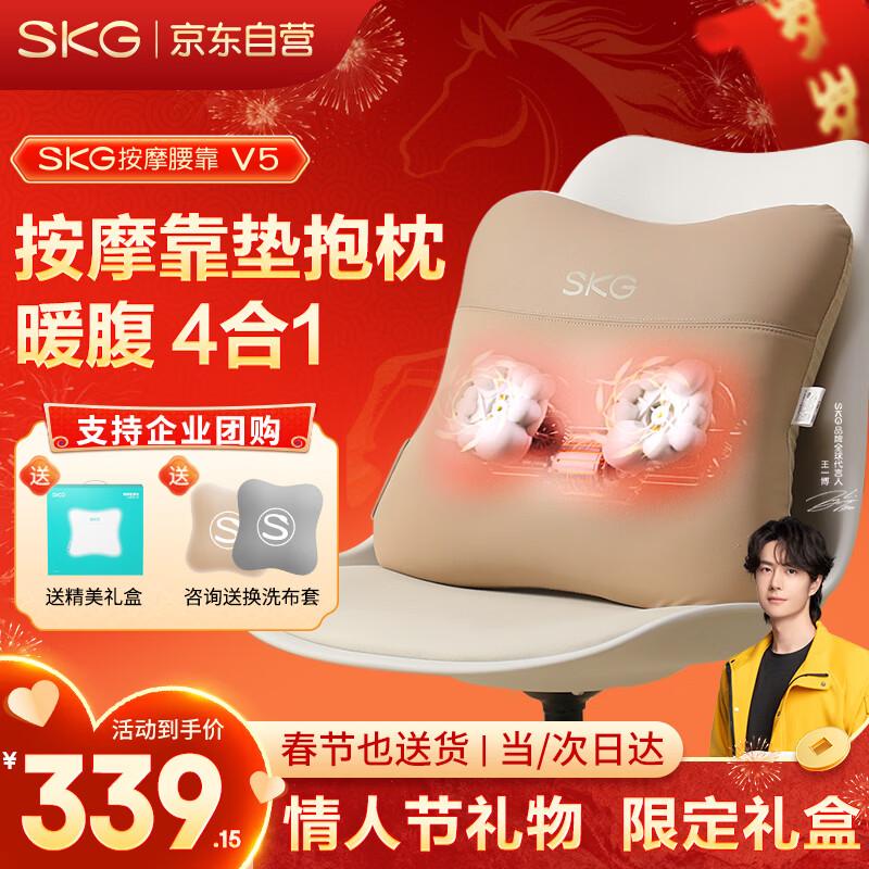 SKG V5 Waist Massager