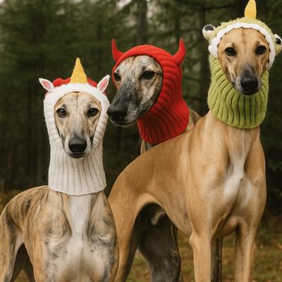 Giyim ve ayakkabı – Köpek için şapkalar