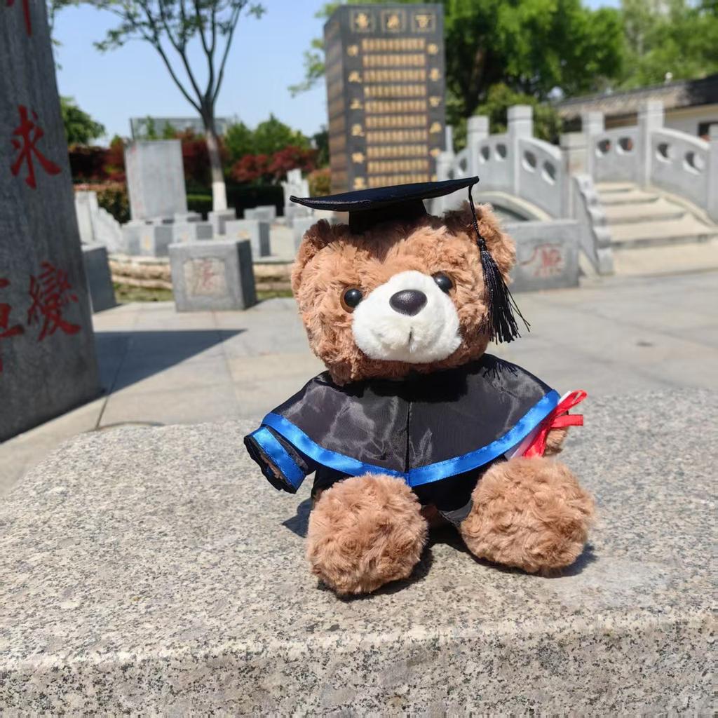 Spielzeug Abschluss Dr. Bärendoll Abschlussbär Schulerinnerungsgeschenk