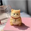 New Cute Chubby Cat Orange Soft Give Birthday Gifts To Girls and Kid Home Decor Ornaments Cats Bedroom Living Room Miniatures