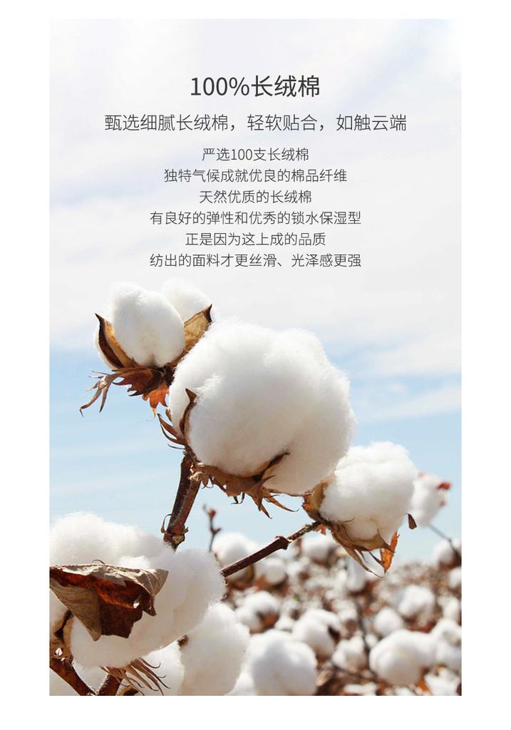 A-class 70% Soybean Fiber Quilt Core Long Staple Cotton Winter Quilt