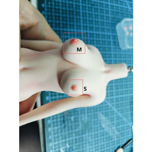 AIEK 1/6 Scale Figure Body, Super Flexible Seamless, Breast Modification, Female Body, Body Makeup + 2-Hole Detail, No Pubic Hair, S38A, Compatible wi