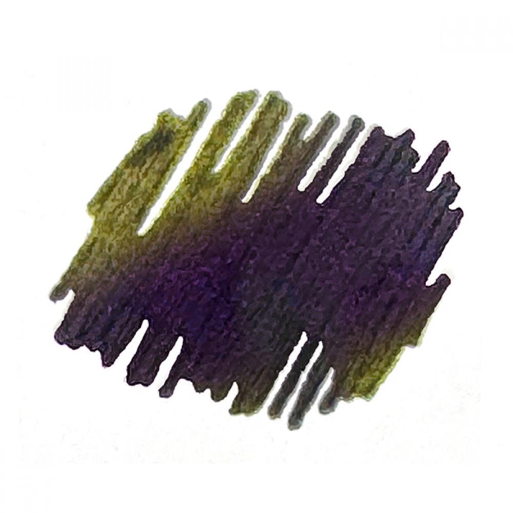 Platinum [limited] Century Fuji Cloud View Haze Fountain Pen