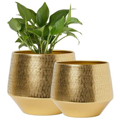 6 Inches, Pack of 2 Eion Metal Plant Pot, Decorative Modern Indoor Planter Flower Pots, Home Garden Decor Planter for Living Room Bedroom