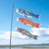Japanese Carp Windsock Outdoor Hanging Fish Shaped Flag Kite Wind Socks for Garden Backyard Home Sushi Bar Restaurant Decoration