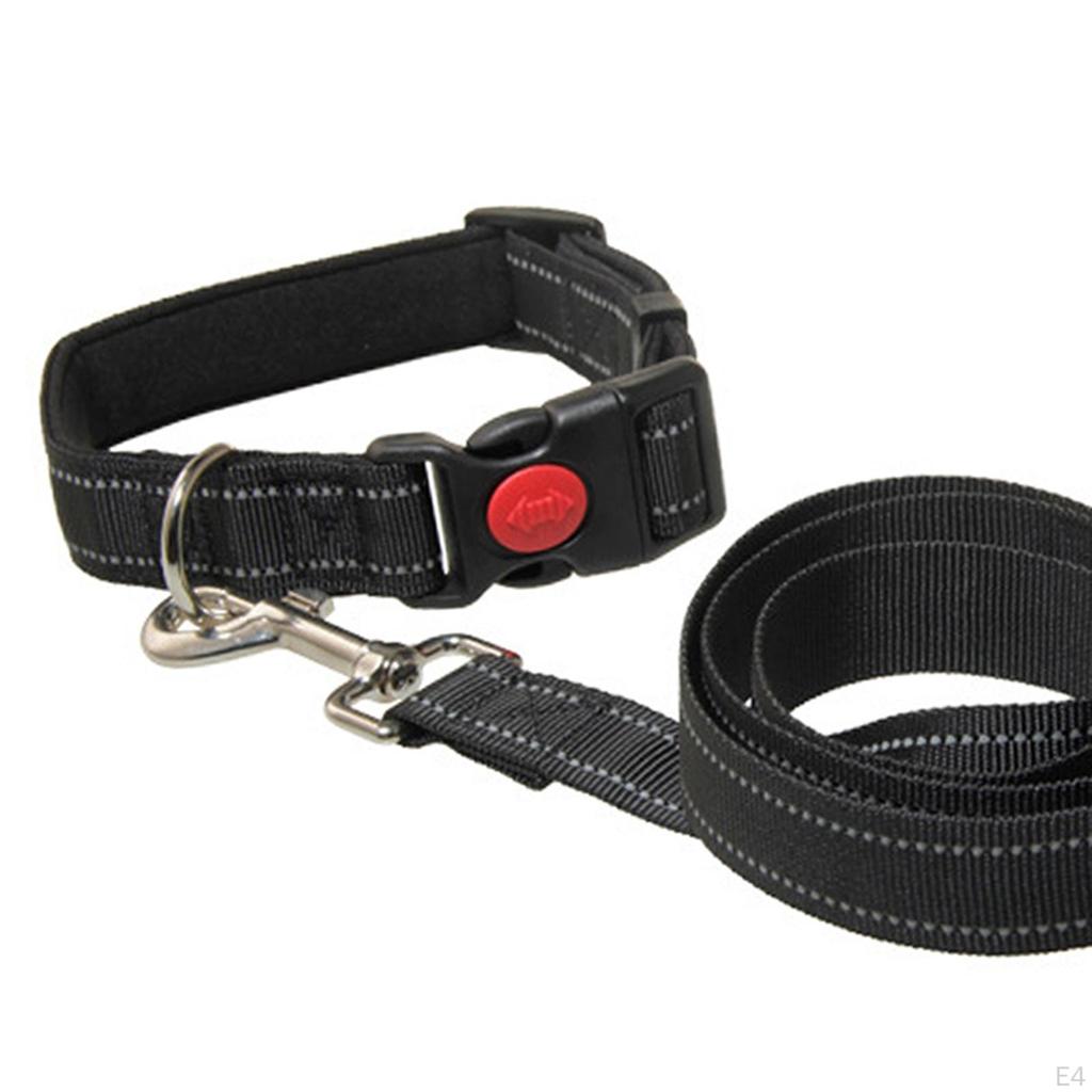 Dog Leash for