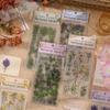 6pcs/pack Transparent PET Stickers Scrapbooking Materials DIY Junk Journal Collage Floral Leaves Plants Decor Stickers