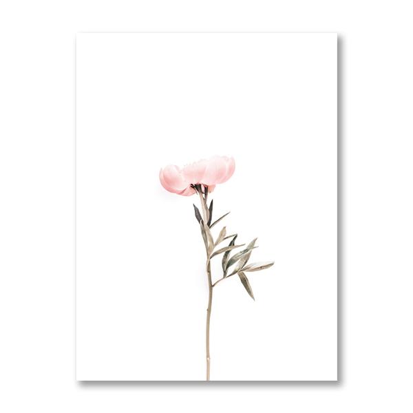 Pink Peonies Flower Posters and Prints Nordic Scandinavian Minimalist Wall Art Canvas Painting Floral Pictures for Room Decor
