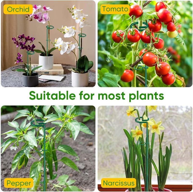 High-quality Gardening Plant Supports Flower Stand Reusable Protection Fixing Tool Garden Supplies For Vegetable Holder Bracket