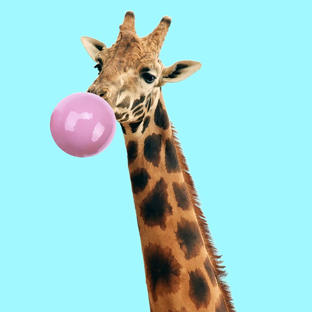 5D DIY Diamond Painting Animated Cartoon Full Diamond Square/round Diamond Embroidery Cross-stitch Set Home Wall Decorative Art