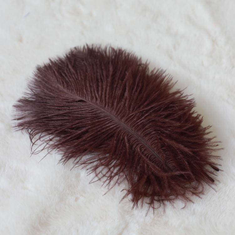 24 Colors 15-20Cm Ostrich Feather, Hotel Wedding Window Home Decoration Ostrich Feather