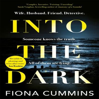 Into the Dark by Fiona Cummins Hardback Book 9781529040159