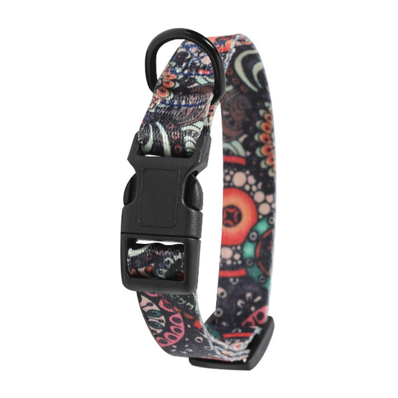 Bohemia Tarzı köpek tasması ve Tasma Seti Küçük Orta Büyük Köpekler için Ayarlanabilir Yavru Kedi Yürüyüş Tasmaları Evcil Hayvan Malzemeleri Aksesuarları