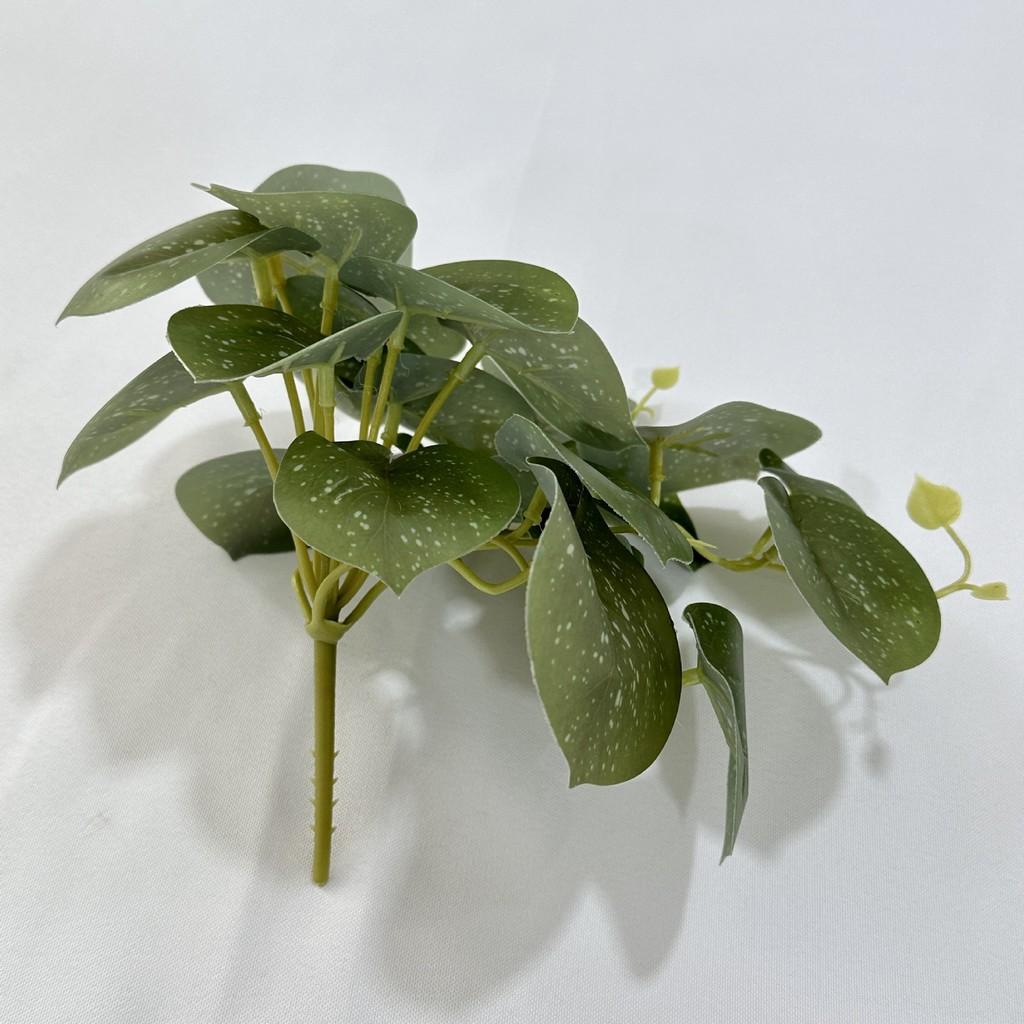 Faux Green Plants With Colocasia Leaves For Home Staging And Photo Props