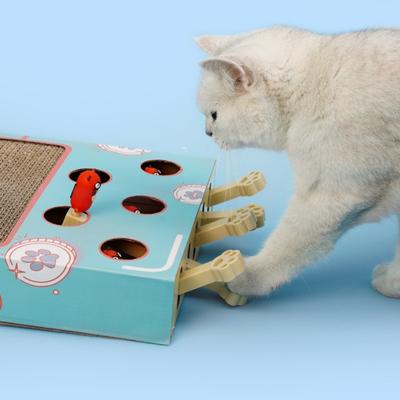 Kedi – Kedi Oyuncakları