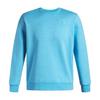 Mens Icon Crew Neck Sweatshirt