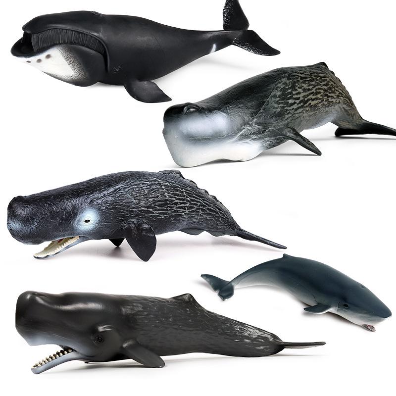 Marine Life Cognitive Toy Set: Sperm Whale, Shark, Bowhead Whale, Blue Whale