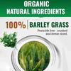 Pure Organic Barley Grass Original Powder Juice Drink 250g Lowering Cholesterol, Beautiful Skin, Healthy Slimming Drink