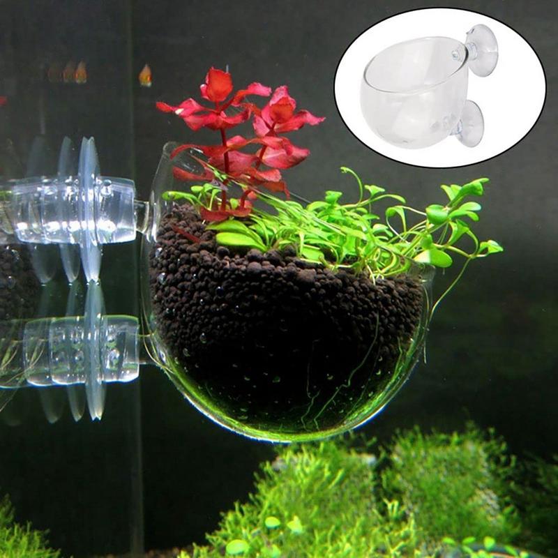 Acrylic Aquatic Plant Cups Aquarium Fish Tank Glass Plant Pot With Suction Holder Feeding Container Stand For Aquarium Lanscape