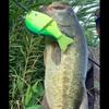 Daiwa Bass Lure Gradical 147F Matt Gill