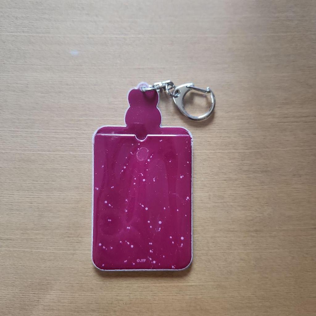 [USED] StrayKids Leavitt Card Holder