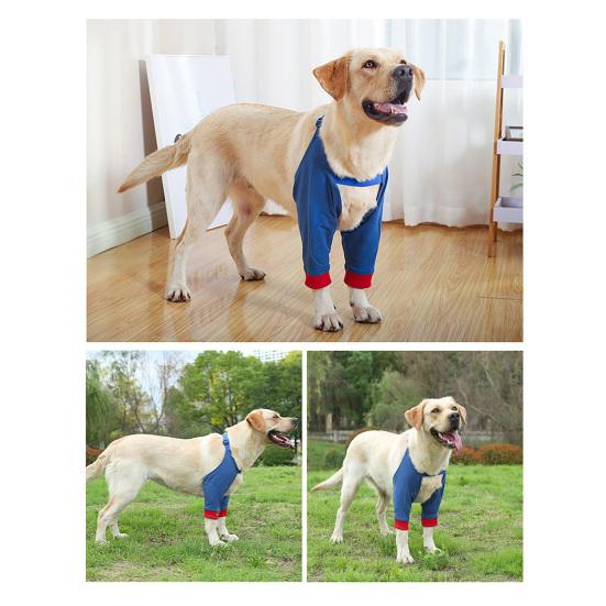 Dog Protector Front Chest Webbing Adjust Buckle Fixed Ring Comfortable Breathable After Injury Tool