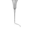 GDC Sickle Scalers Posterior #6 (Scnevi2)
