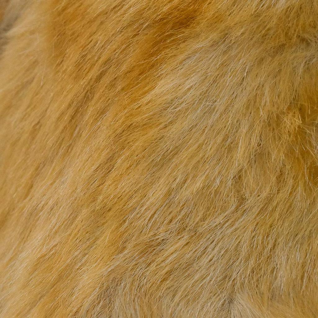 BH6766 HANSA Snub-nosed Monkey 47