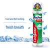 Colgate Stand-Up Pump Toothpaste - Cooling Fresh