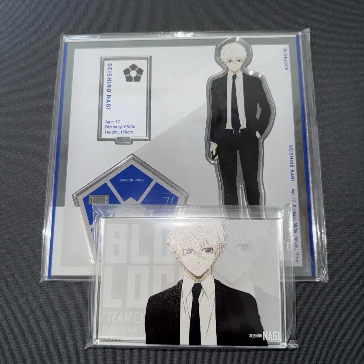 

Акриловый блок Blue Rock Nagi Seishiro Baseyard