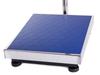 Platform Scale 40X50 300 (1)