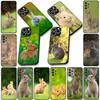 Phone Cover for Samsung Galaxy S25 S24 S23 FE Plus Ultra S7 Edge A16 A15 5G S25+ Casing Flexible Case Rabbit