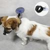 Neu Verwöhnen Sie Ihr geliebtes Haustier mit einem luxuriösen und erholsamen Tag in unserem opulenten Pet Spa Salon - Verwöhnen Sie es mit erstklassigem G