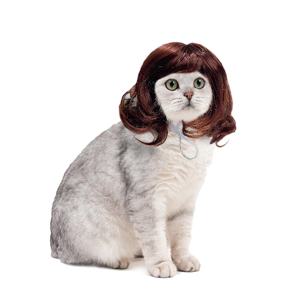 

Святковий перук для домашнього улюбленця: Довгий Кучерявий Котячий Шиньйон