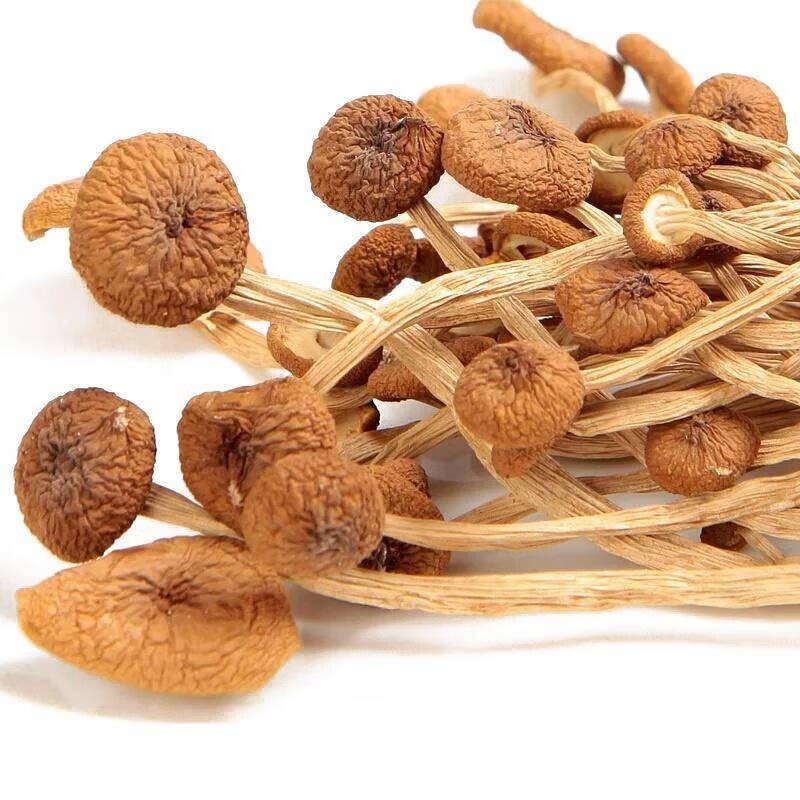 Mr. Hoe Shaanxi Ankang Specialty Tea Tree Mushrooms 250g