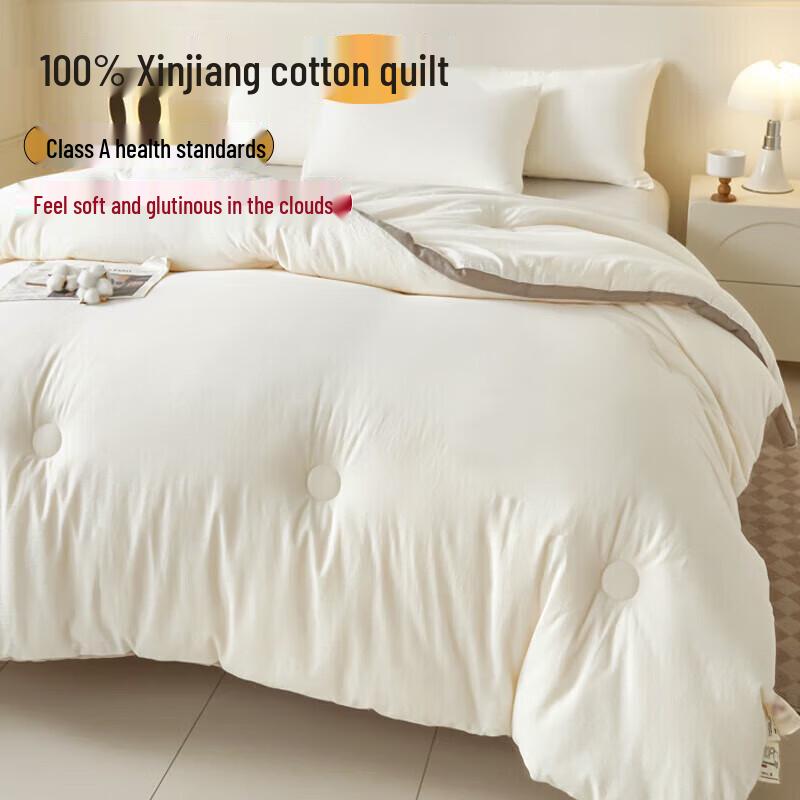 MUJI 100% Xinjiang Cotton Winter Quilt