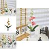 Orchid Artificial Plant For Wedding Decor With Realistic Design For Photography And Home Display