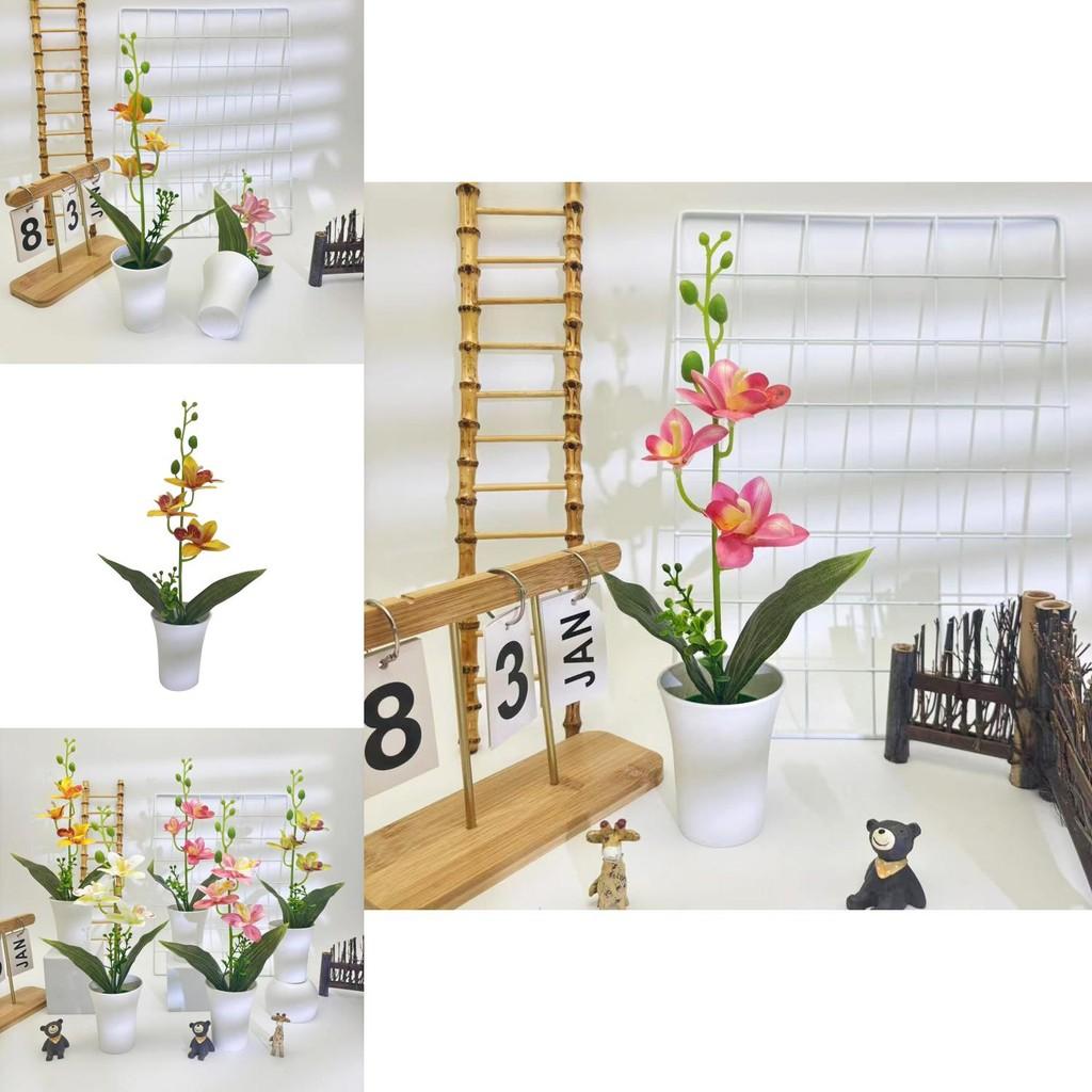 Orchid Artificial Plant For Wedding Decor With Realistic Design For Photography And Home Display