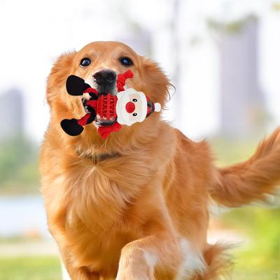 Perros – Juguetes para perros