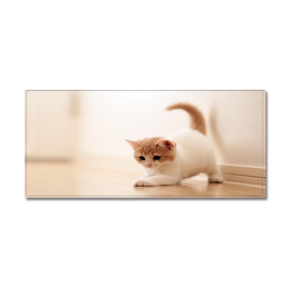 Cute Animal Entrance Door Mat Toilet Non-Slip Floor Mat Bathroom Absorbent Foot Mat Bedroom Living Room Carpet